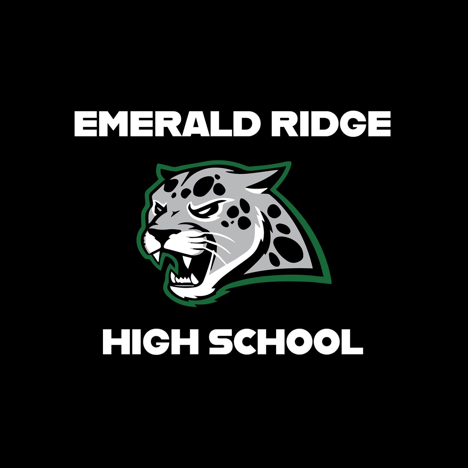 Emerald Ridge High School Cheer Spirit Wear